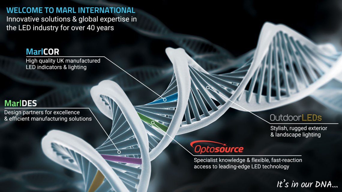 Marl product brands DNA graphic.